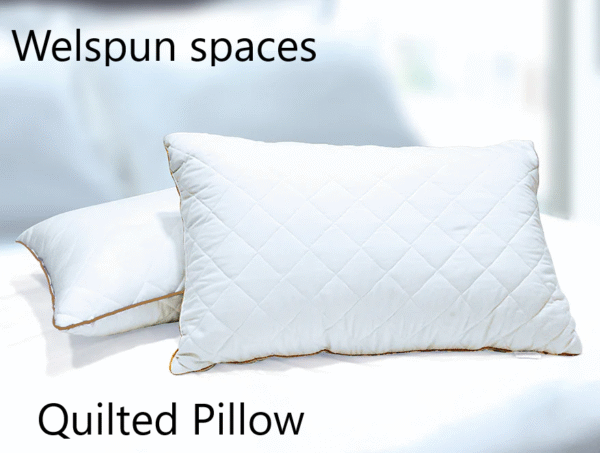 Spaces Quilted Pillow - Image 3